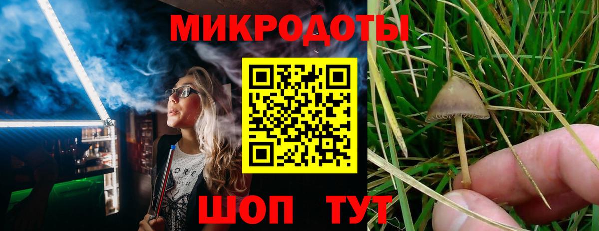 Долгопрудный  Псилоцибиновые грибы мухоморы  Вход с VPN  Псилоцибиновые грибы Psilocybe 