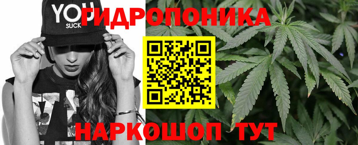 Бошки Шишки Bruce Banner Долгопрудный